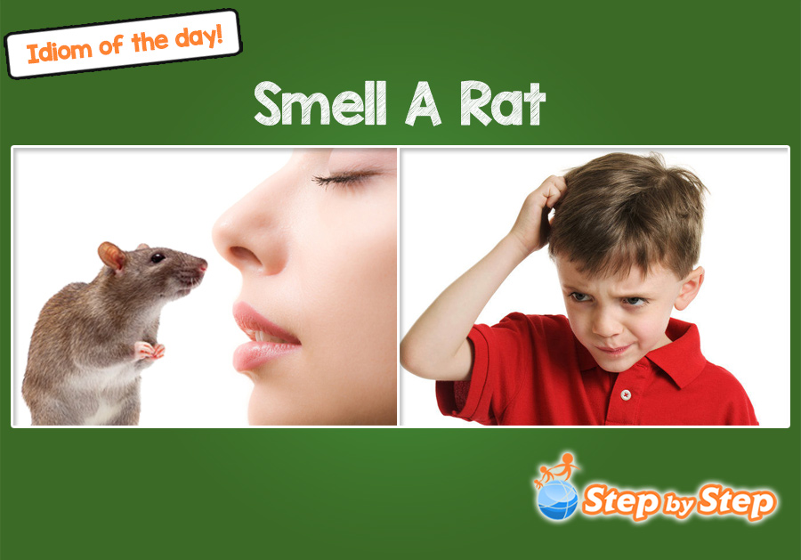 smell a rat idiom of the day ESL EFL picture