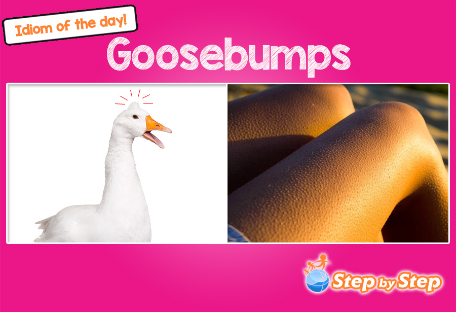 goosebumps idiom meaning with pictures